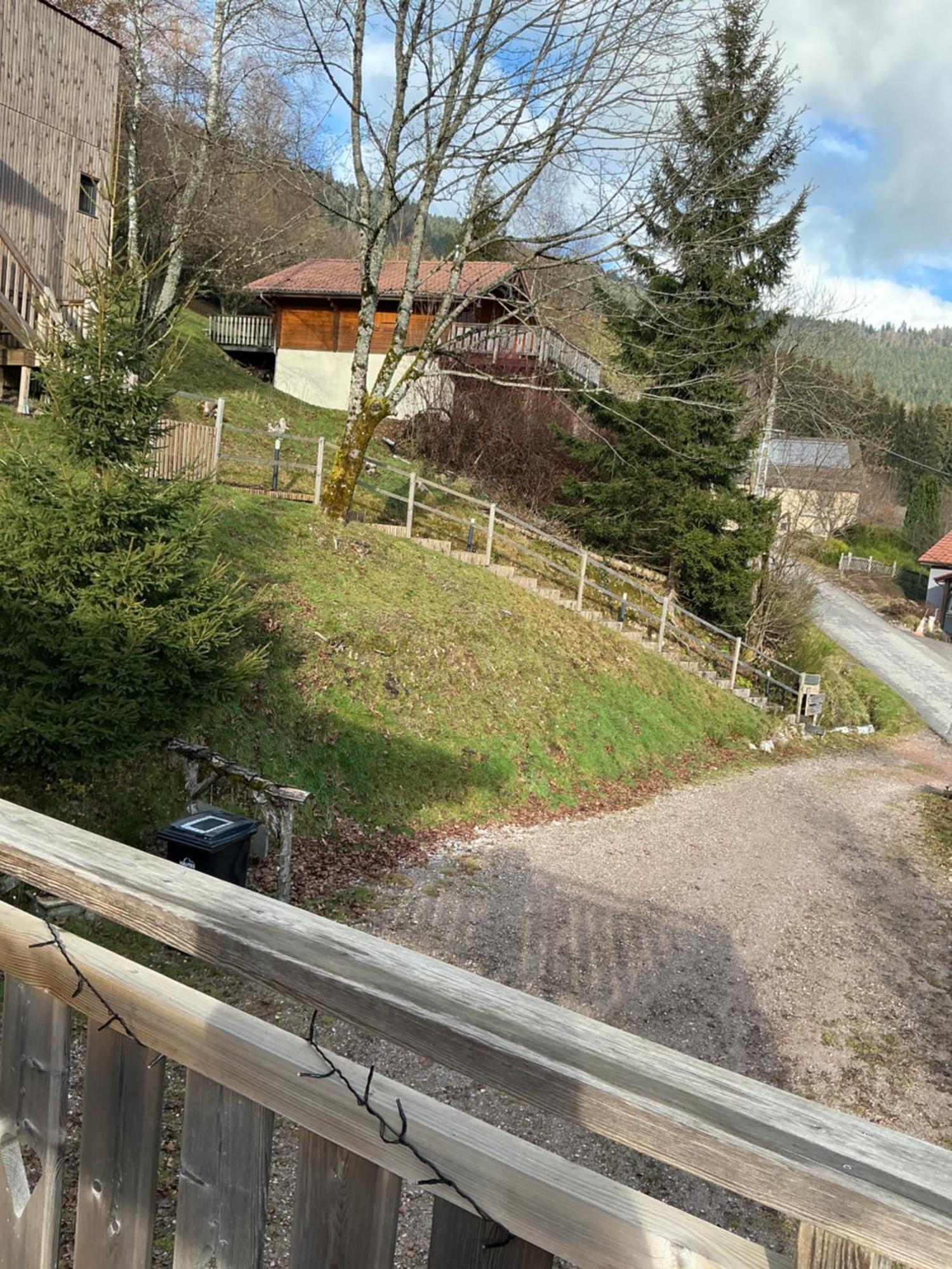 Chalet Le Pieraline Ventron